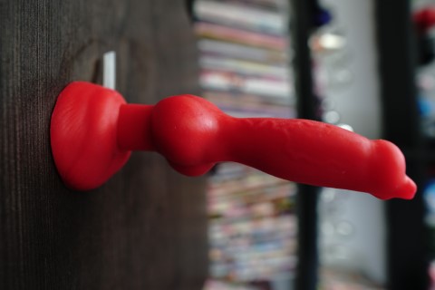 Rex - Additional View 1