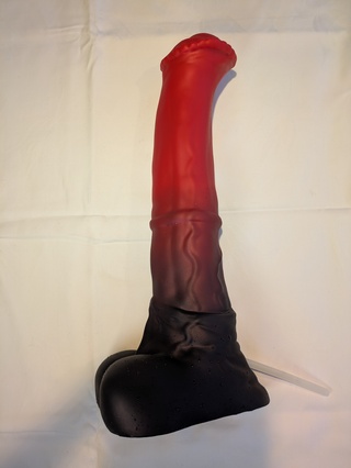 Conola - Additional View 1