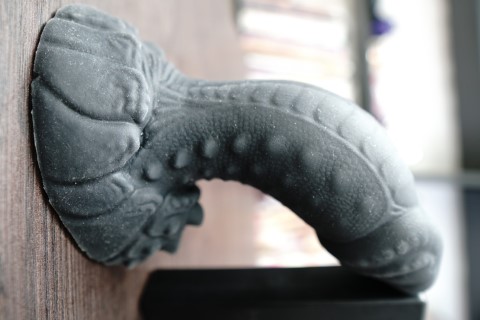 Crackers - Additional View 1