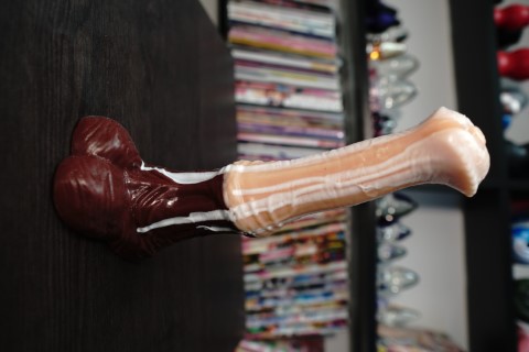 Mustang - Additional View 1