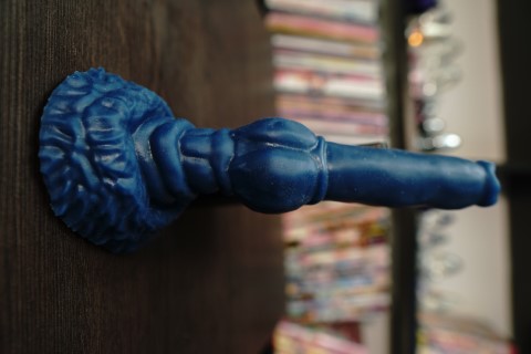 Ciro the Snowfox - Additional View 1