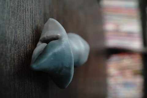 Vixenmaker - Additional View 1