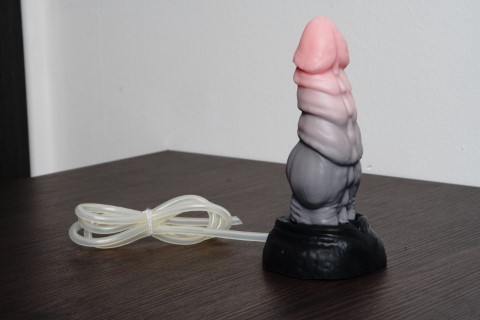 Nova - Additional View 2