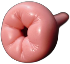 Puffy Donut (legacy)